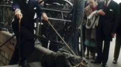 Сальвадор далі, його мурахи та інші екзотичні домашні тварини